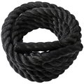 Ssn 2 in. 50 ft. Fitness Power Ropes 1369626